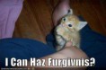 /album/funny-images/a9-jpg/